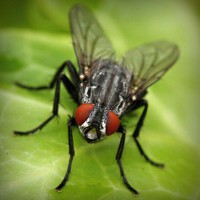 /album/nash-klas/photolia-a01-jpg/