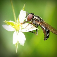 /album/nash-klas/photolia-a02-jpg/