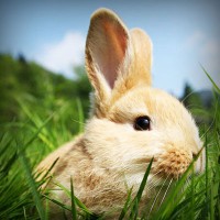 /album/nash-klas/photolia-a03-jpg/