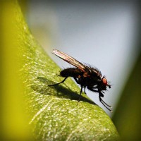 /album/nash-klas/photolia-a04-jpg/