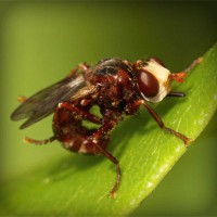 /album/nash-klas/photolia-a06-jpg/