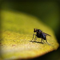 /album/nash-klas/photolia-a07-jpg/