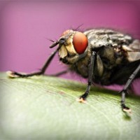 /album/nash-klas/photolia-a08-jpg/